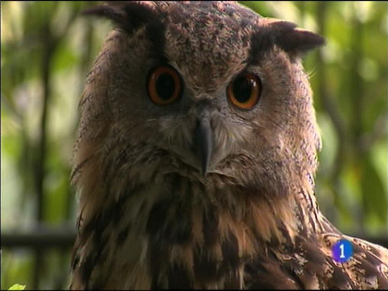 Panorama Regional - 07/10/13 | Ver