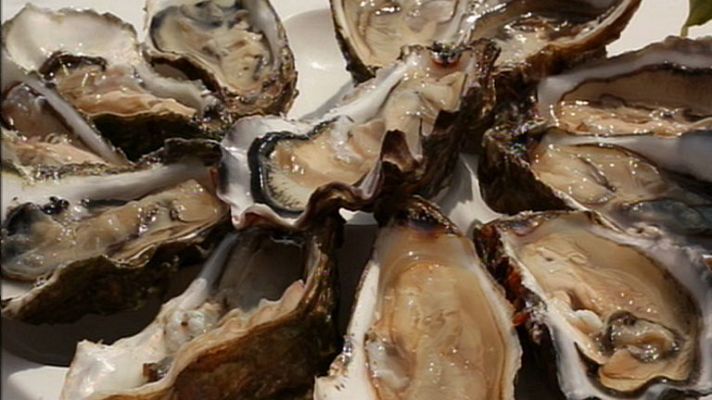 RTVE Cocina - Ostras del Eo