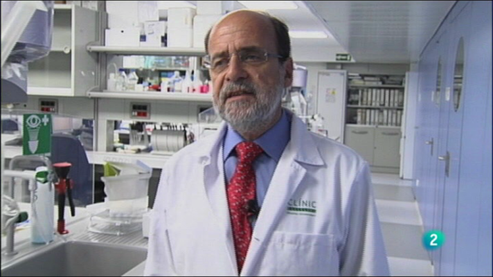 Fábrica de ideas - Innoa: PREDIMED