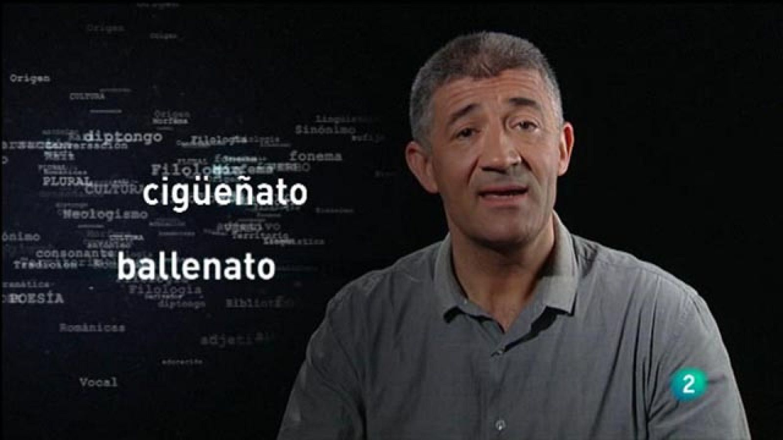 Para Todos La 2 - Etimología: Crías animales y la ternura