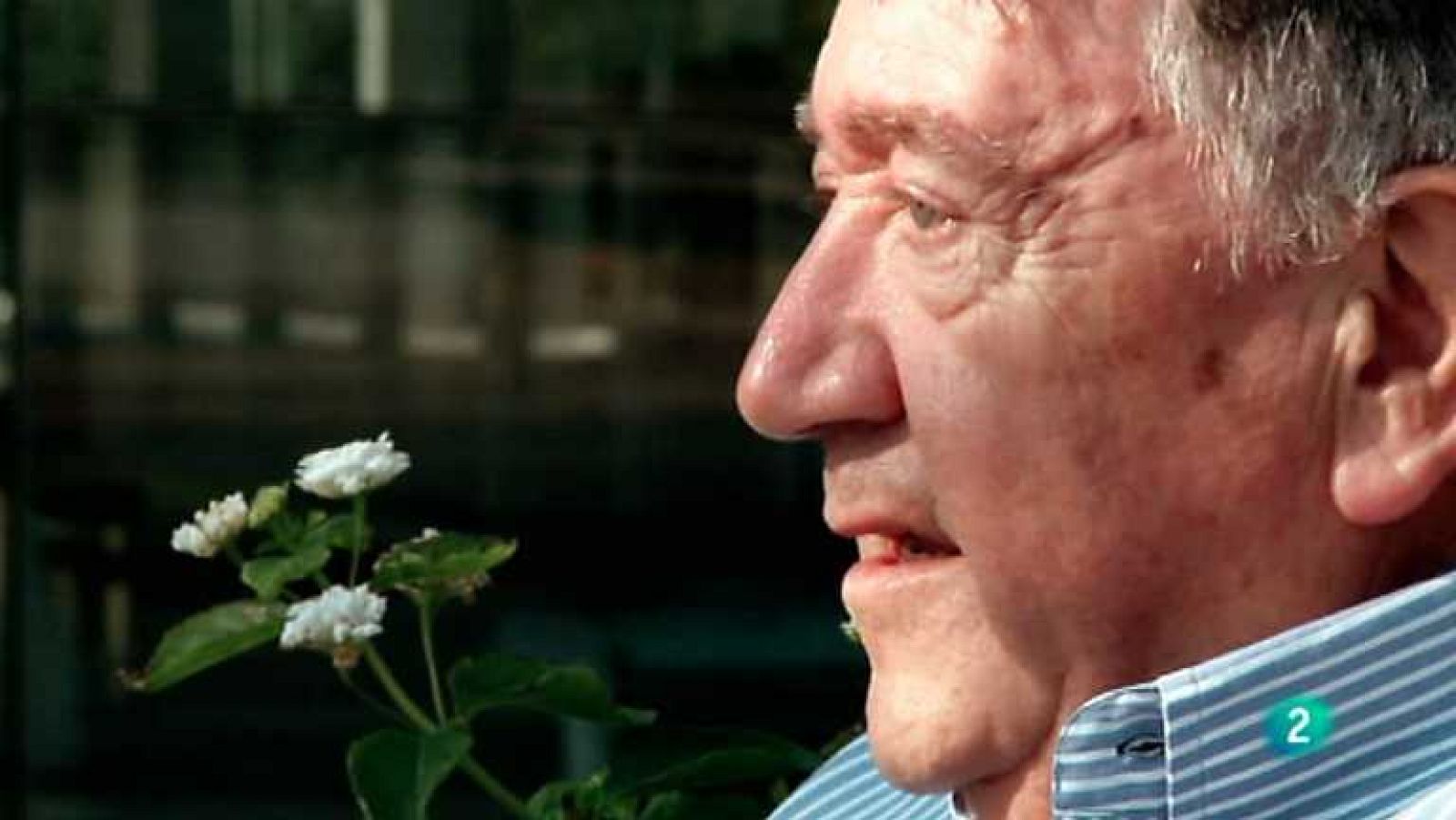 Ahora también - Transmitiendo saberes - Ver ahora