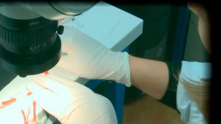 España Directo - Autopsia cuerpo de Asunta