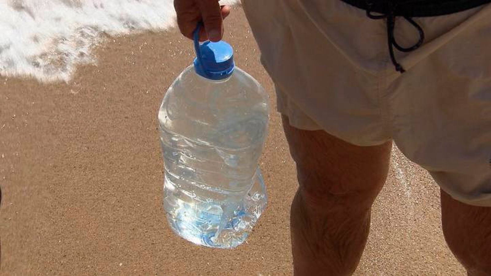 El escarabajo verde - Sorbos de mar- Avance