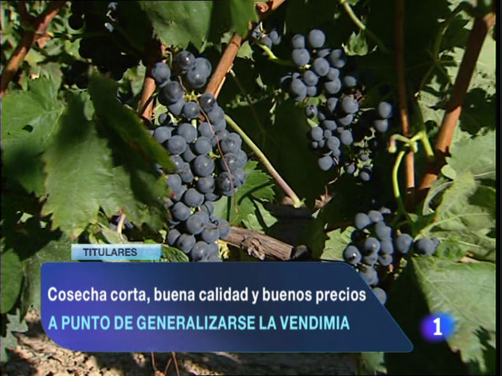 Telerioja en 2' - 11/10/13 | Ver