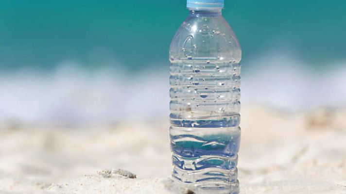 El escarabajo verde - Sorbos de mar