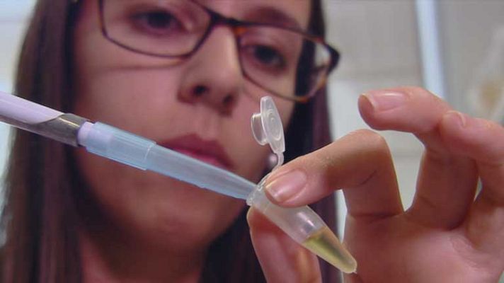 Telediario 1 - Subvención europea para ciencia