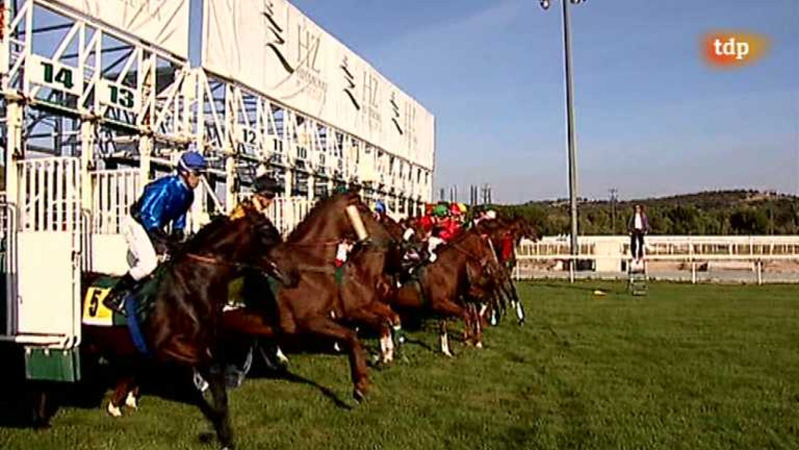 Turf - 13/10/13 - Ver ahora