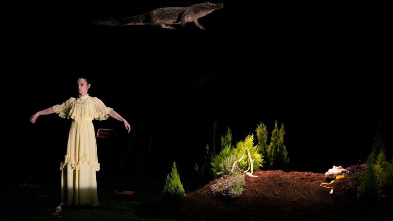 Angélica Liddel, un animal en escena - Ver ahora