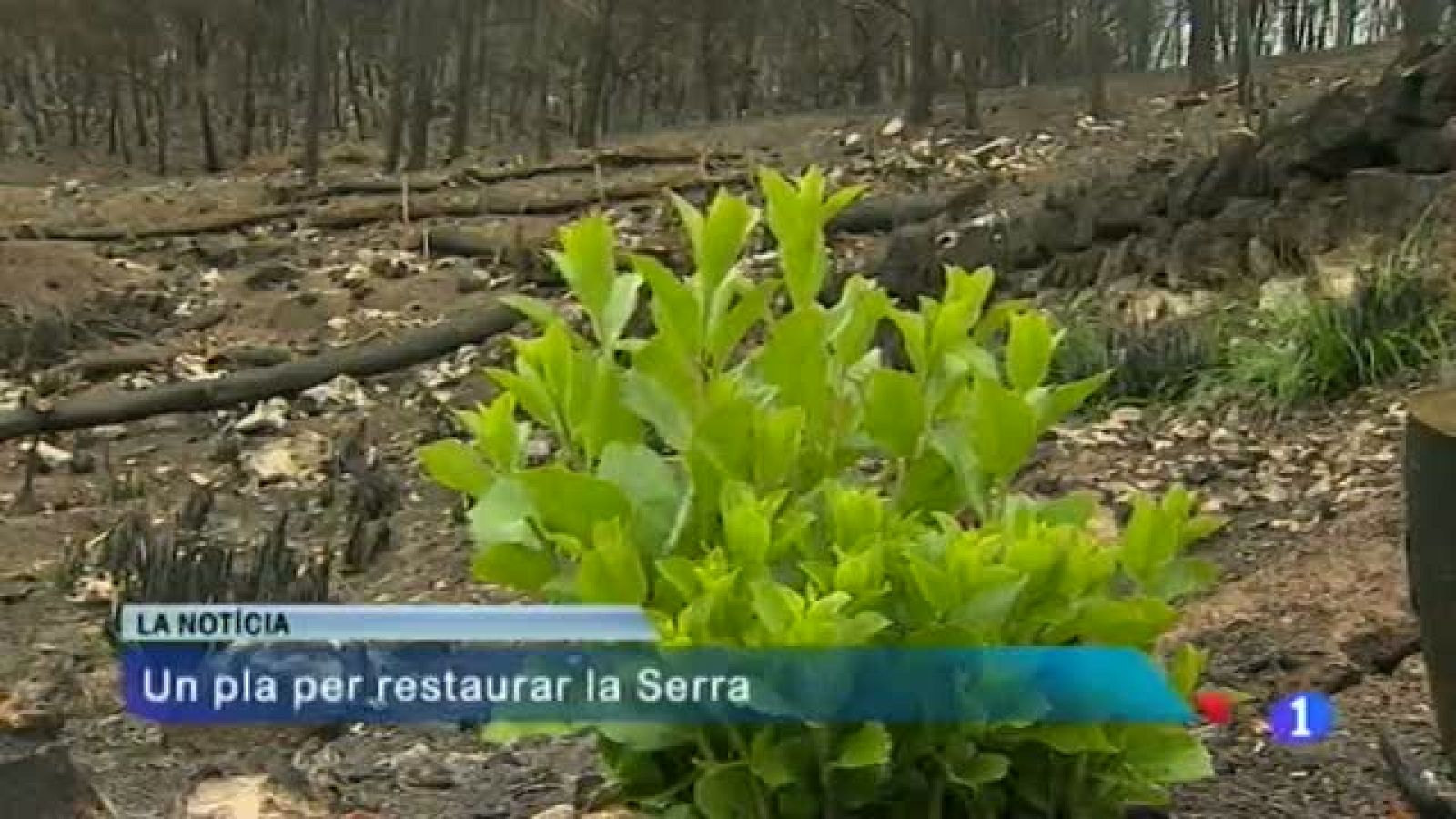 Informatiu Balear en 2' - 14/10/13 | Ver
