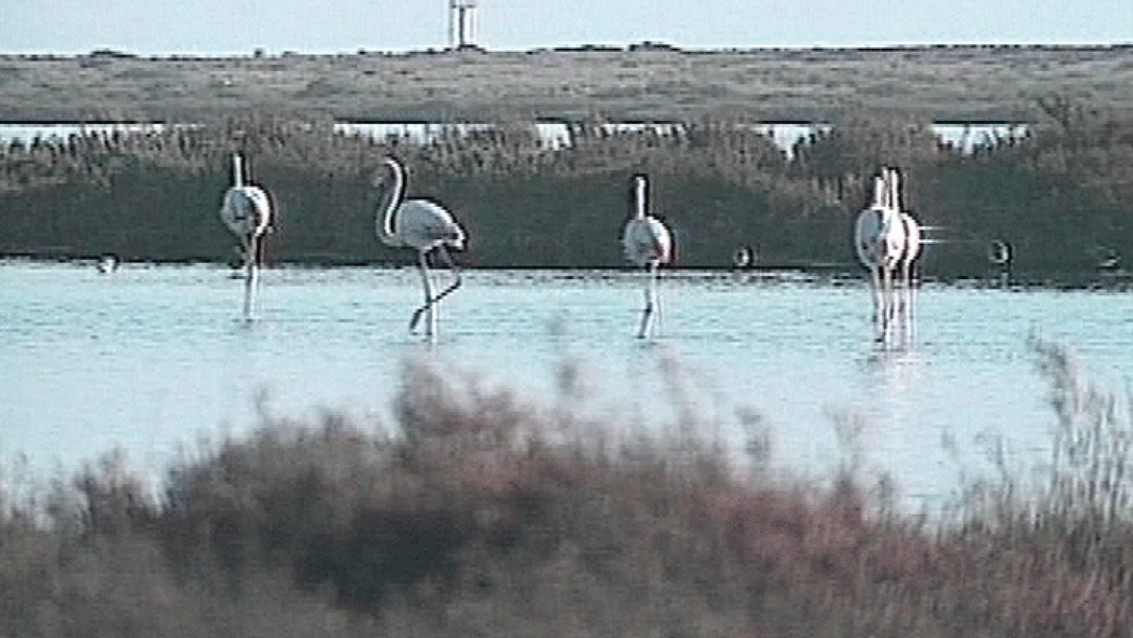 La Aventura del Saber. Serie Documental. Cuaderno del viajero. La Fachada Marítima