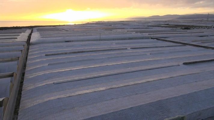 España a ras de cielo - La historia de los invernaderos
