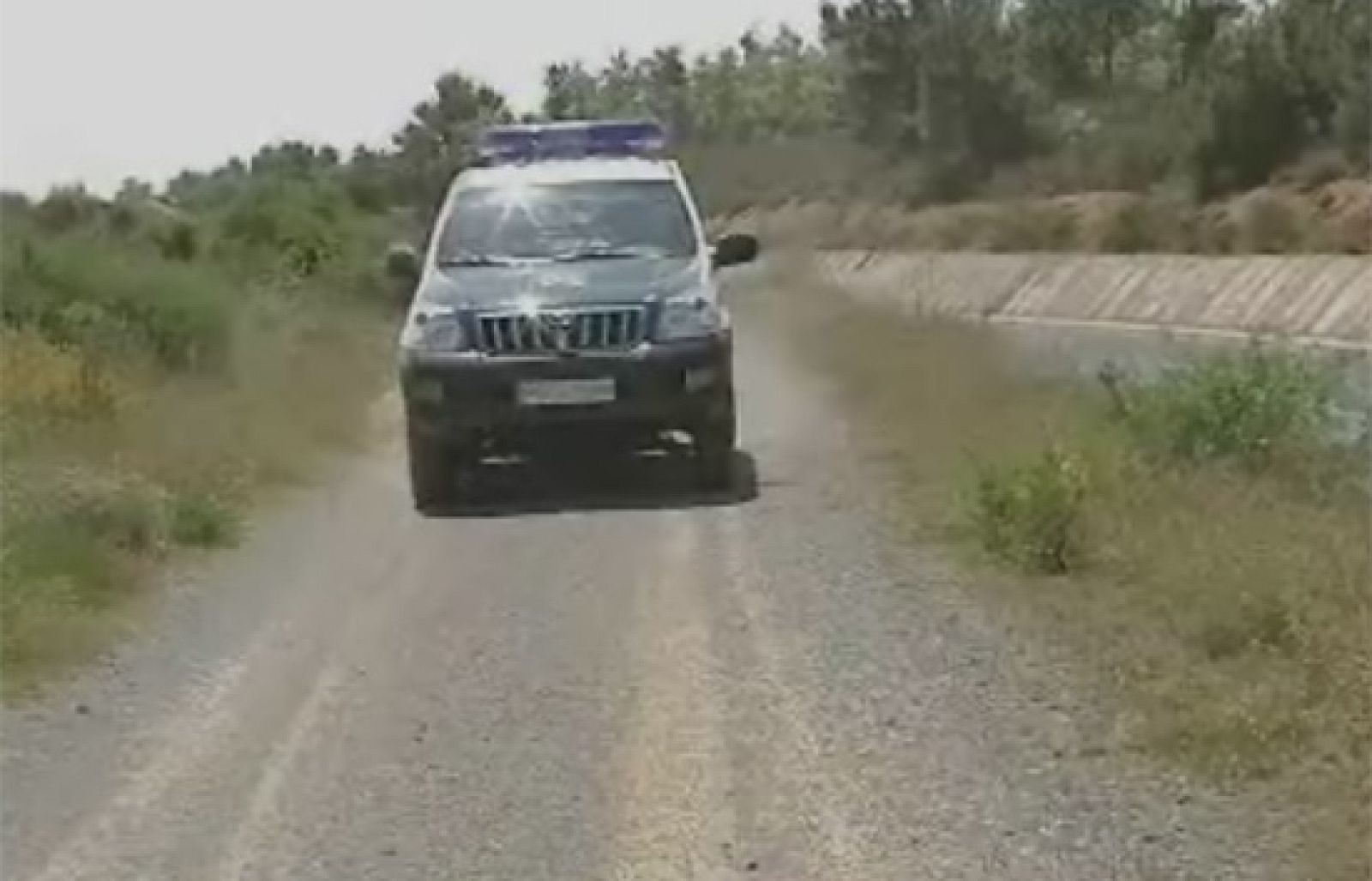 Animales ahogados en Palencia | Ver