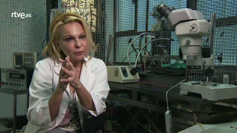 "La investigación necesita una financiación estable" - Crónicas | Ver