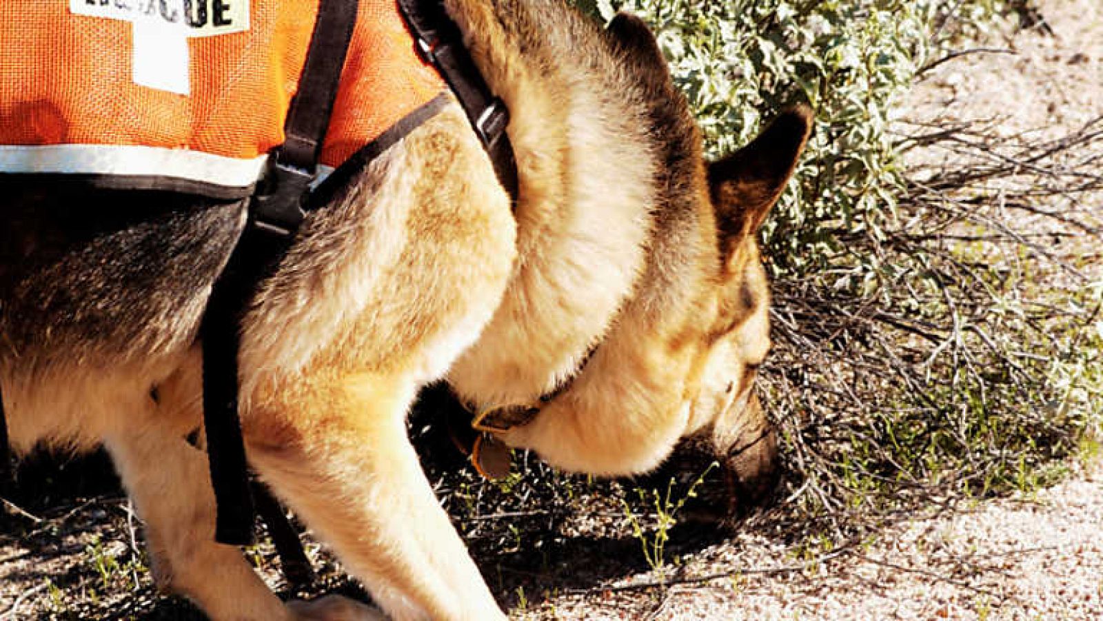 Comando Actualidad - Caso abierto - Ver ahora