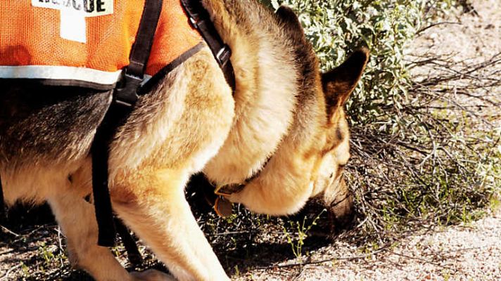 Comando Actualidad - Caso abierto