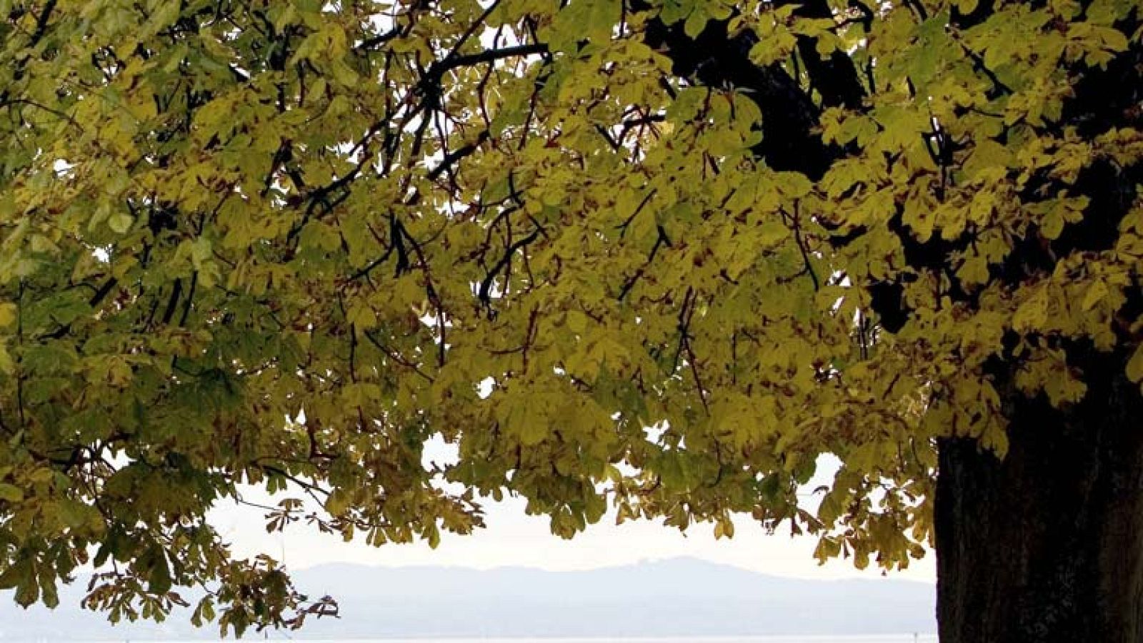 El tiempo en la Comunidad de Madrid - 17/10/13