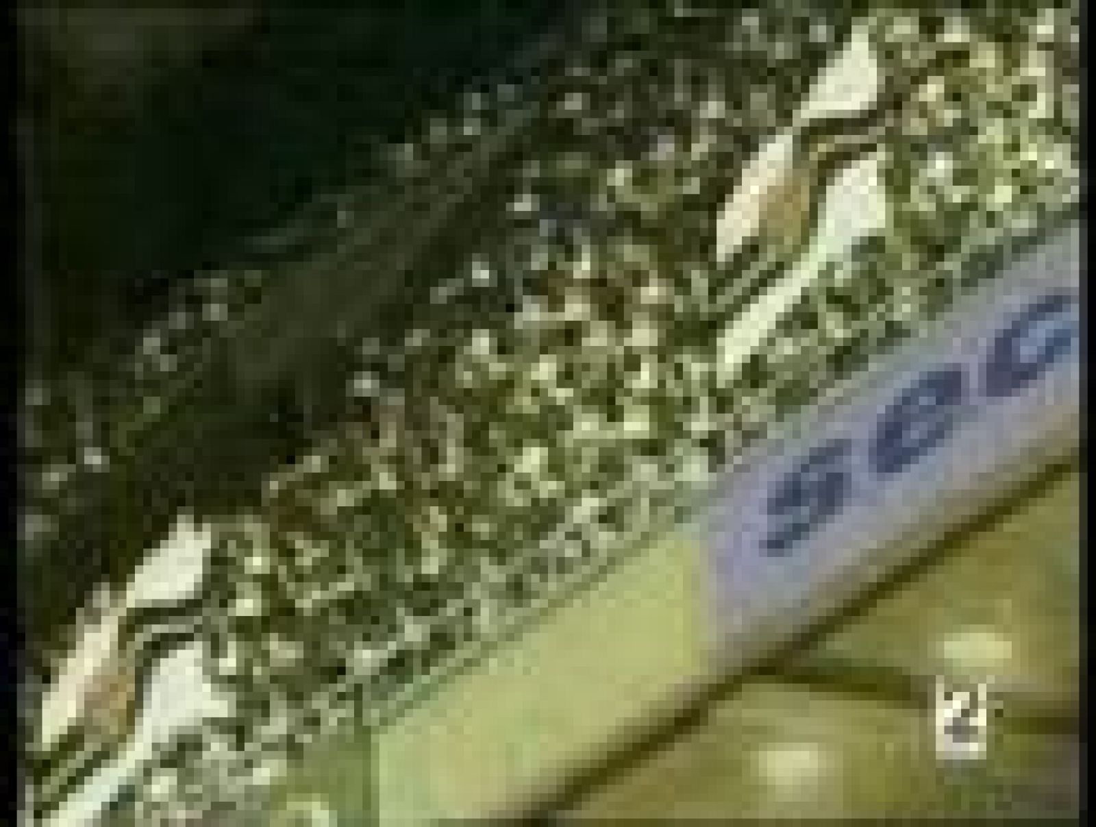 Cap35. Campeones hacia el Mundial: Oliver y Benji 