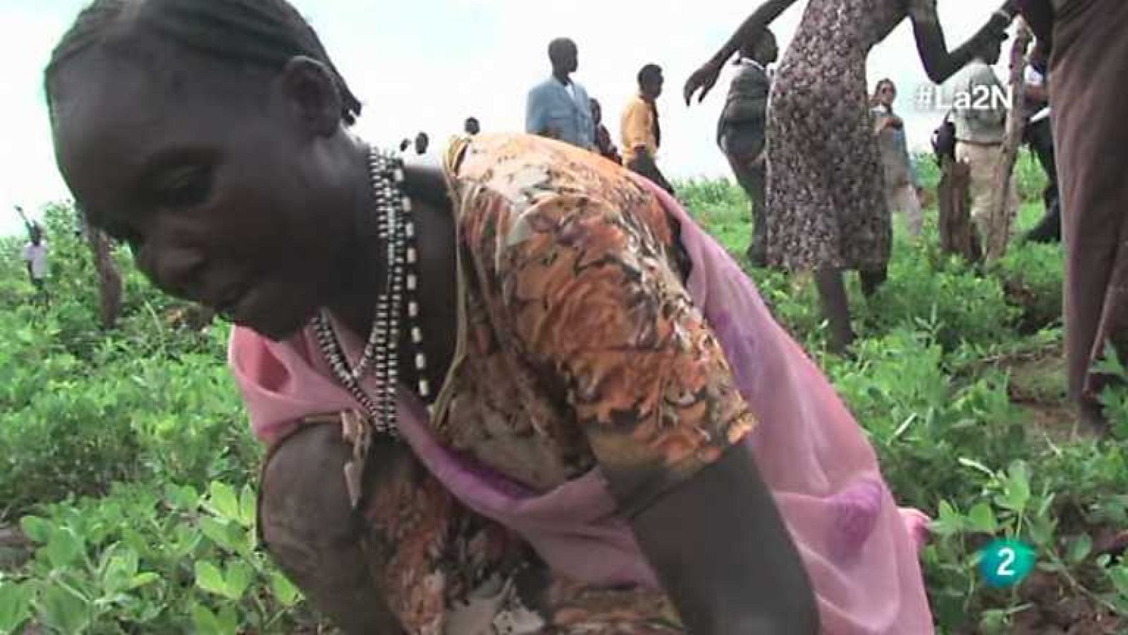 La 2 Noticias - 17/10/13 - Ver ahora