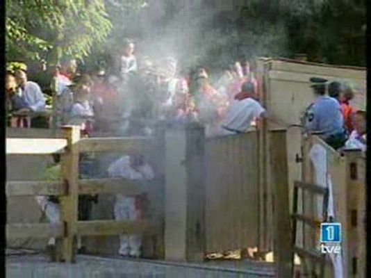 San Fermín - Séptimo encierro Sanfermines 2007