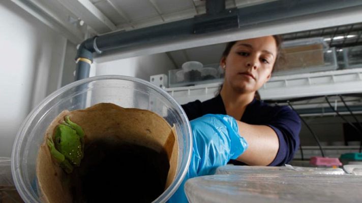 Telediario 1 - Yacimientos de empleo en TICs