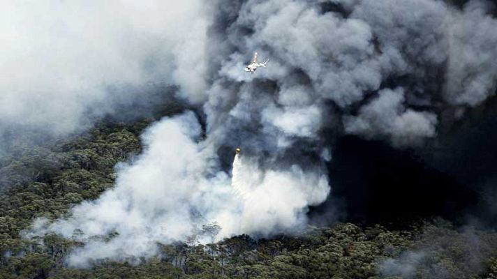 Telediario 1 - Incendios forestales en Australia