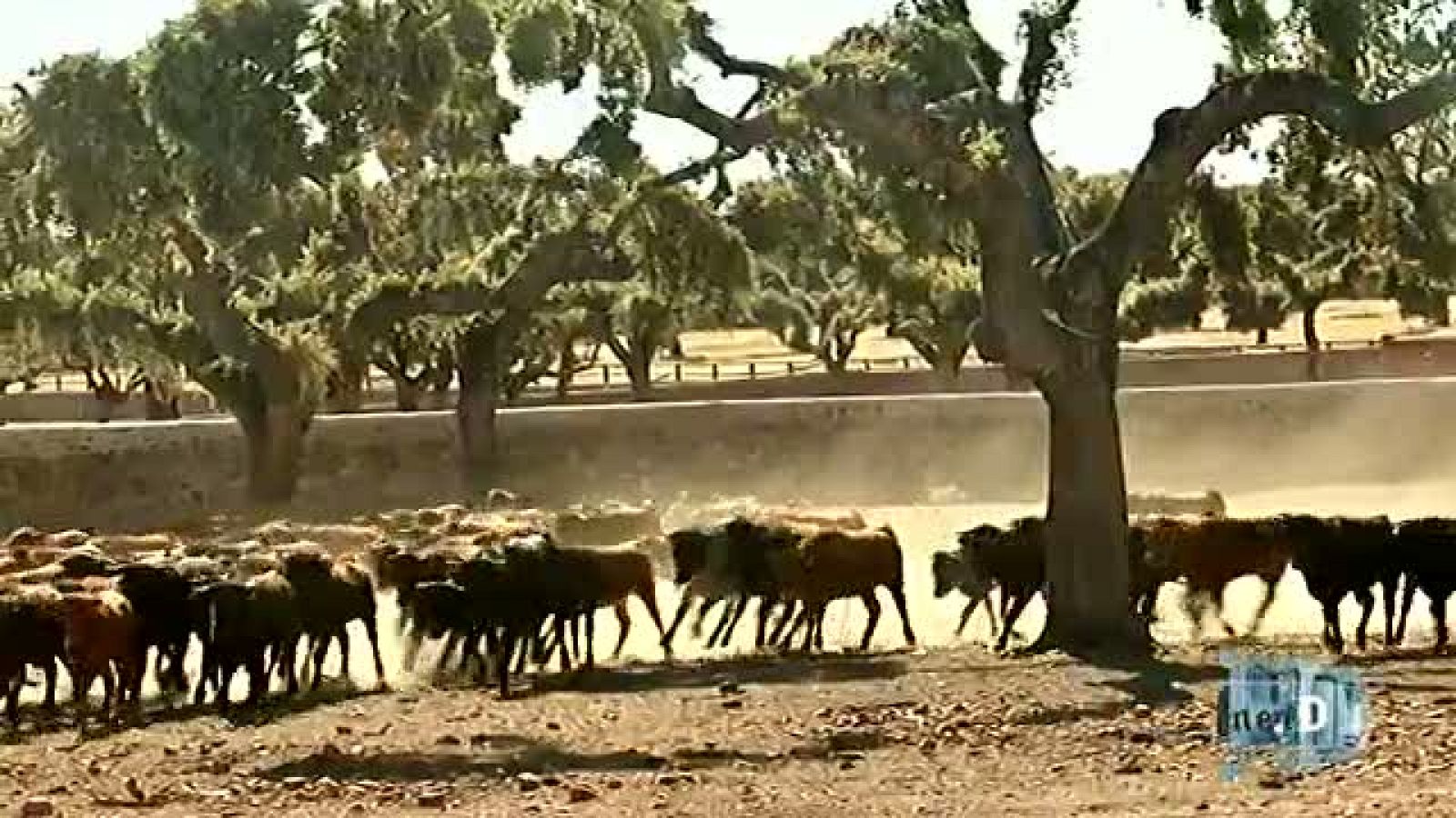 Un país para comérselo - Un país para comérselo llega a Salamanca - Avance