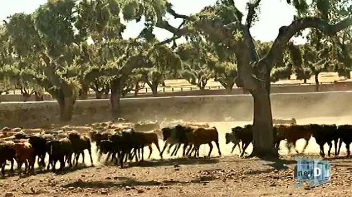 Un país para comérselo - Salamanca