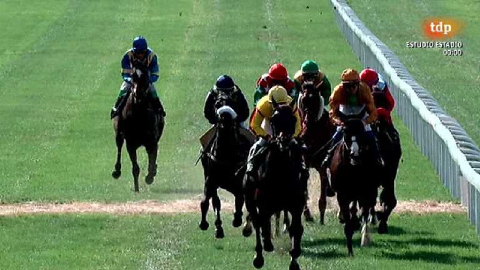 Turf - 20/10/13 - Ver ahora