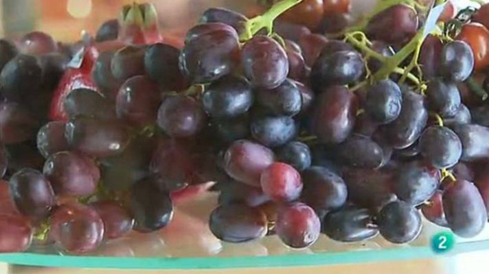 Agrosfera - Fruit Attraction