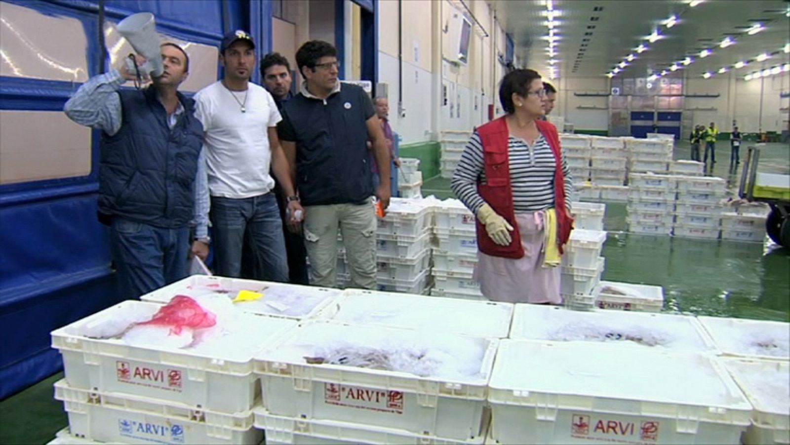 España a ras de cielo - La subasta del pescado