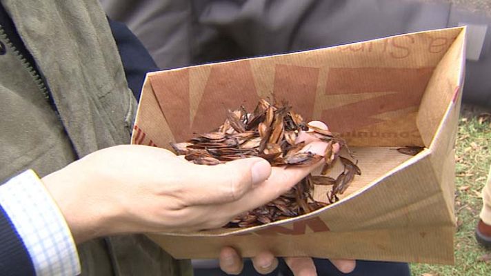 Informativo de Madrid - Informativo de Madrid - 23/10/13