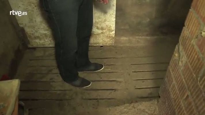 Repor - Jaume Carbonell - granja porcina ec