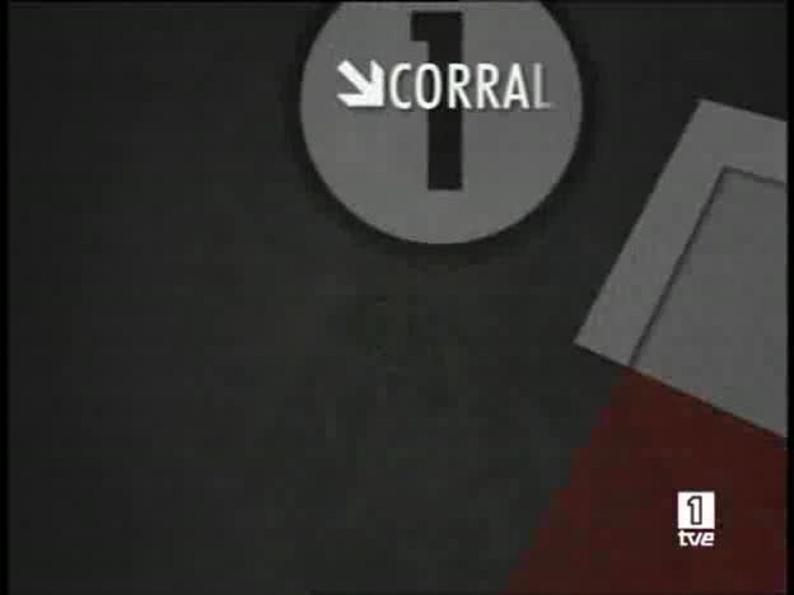 3º Encierro San Fermín | Ver