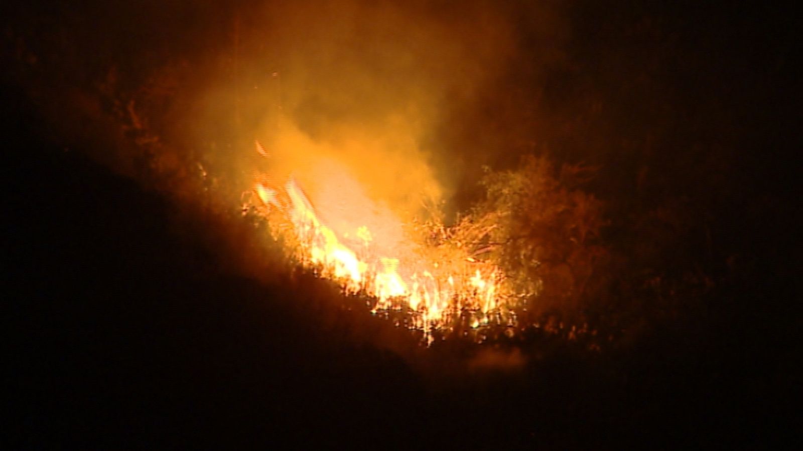 Telecanarias - 25/10/13 | Ver