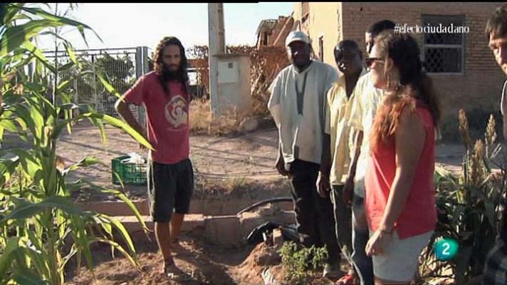 Efecto Ciudadano - Verdura solidaria