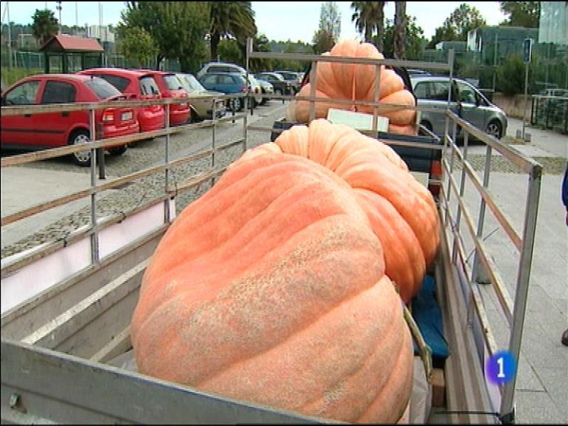 Panorama Regional 2 - 28/10/13 | Ver