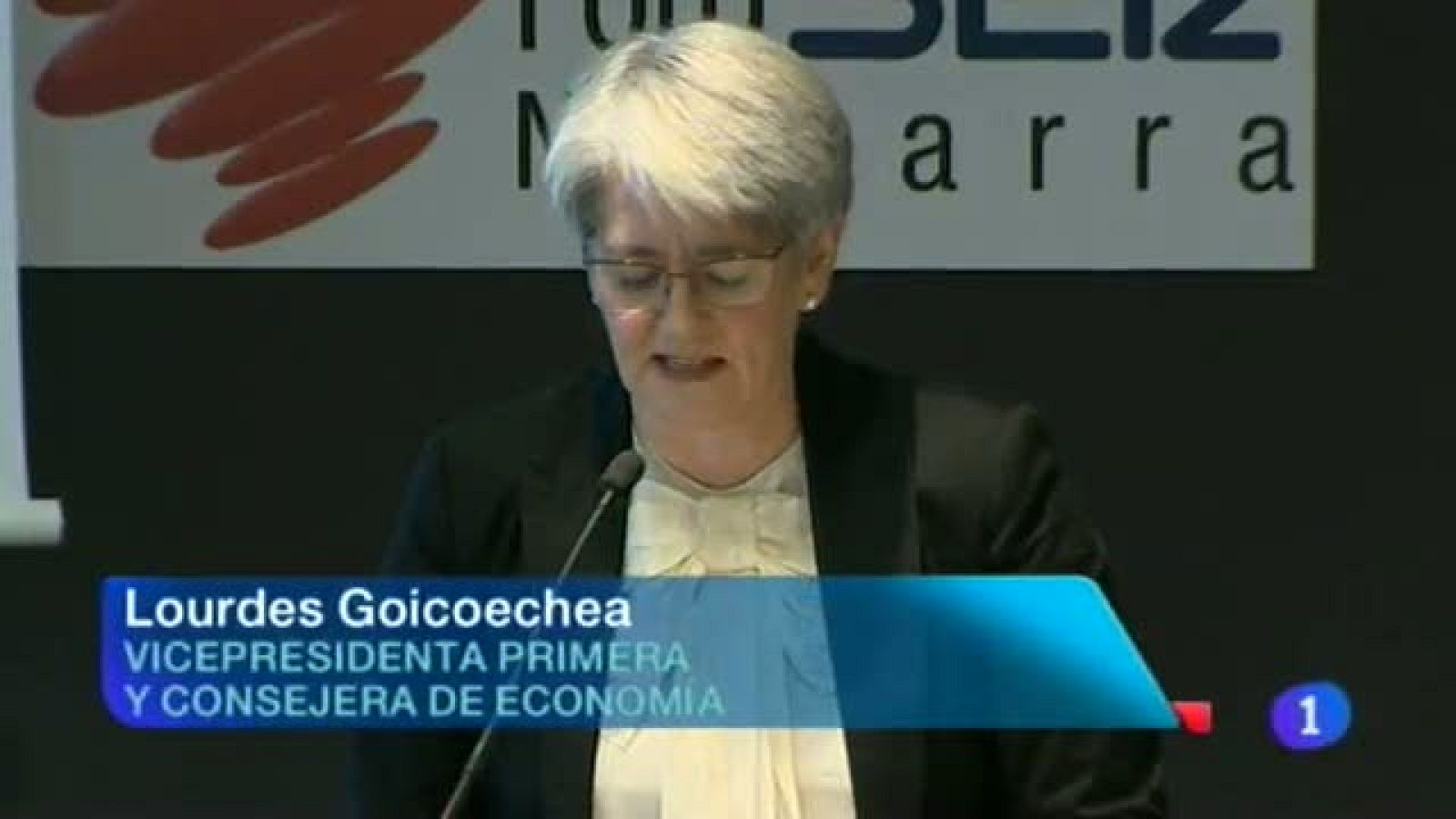 Telenavarra - 29/10/2013 | Ver