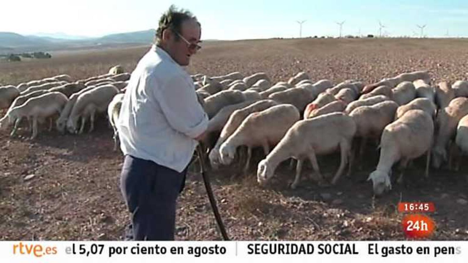 España en 24 horas - 29/10/13 - Ver ahora