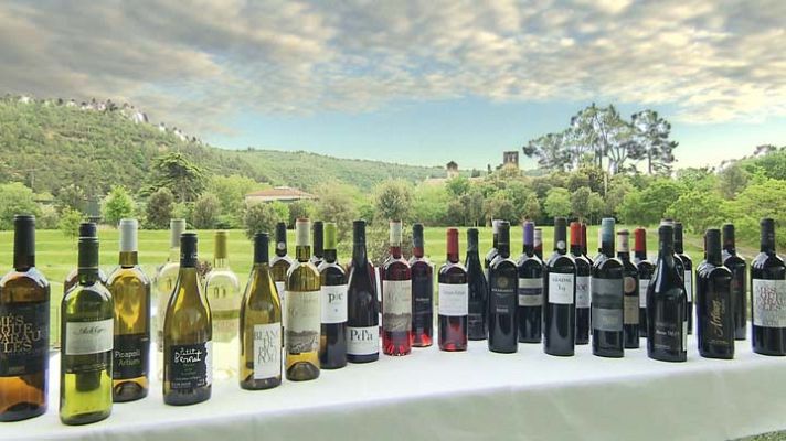 Entre vinyes - D.O. Pla de Bages