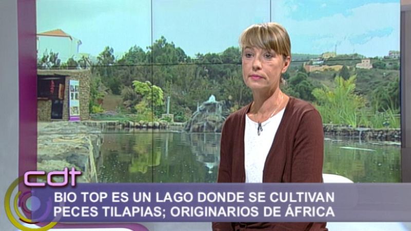 Cerca de ti - 30/10/13 - Cerca de ti | Ver