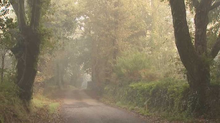 El tiempo - Temperaturas nocturnas en ligero a moderado descenso