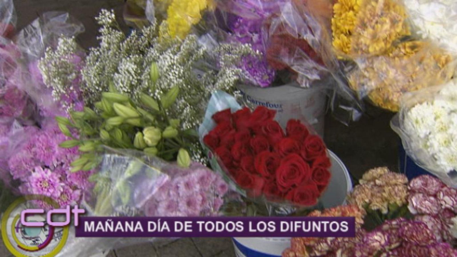 Cerca de ti - 31/10/13 - Cerca de ti | Ver