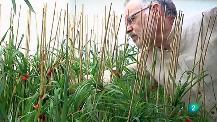 Fábrica de ideas - Programa 7