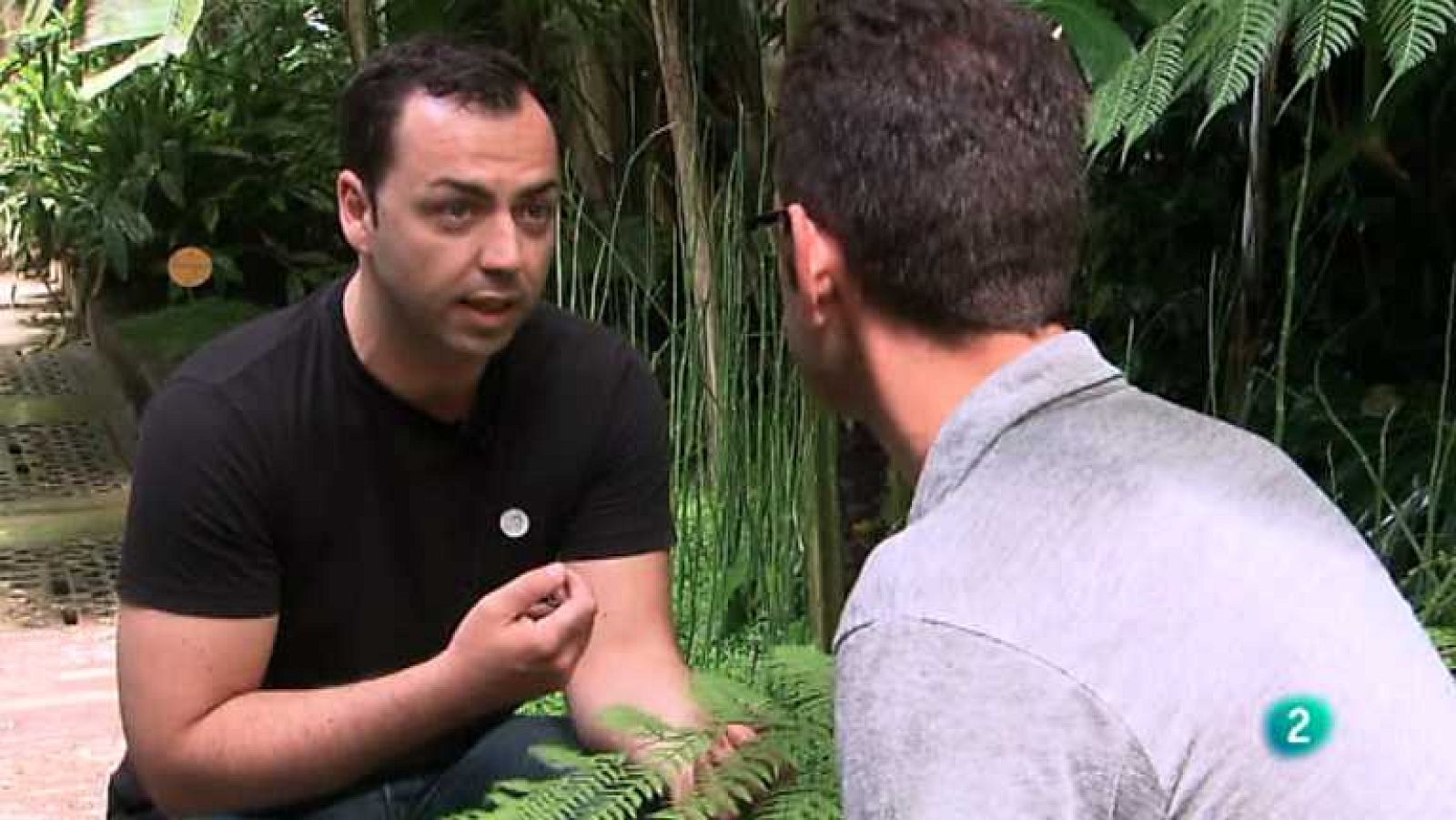 Buenas Ideas TED - Creación - ver ahora