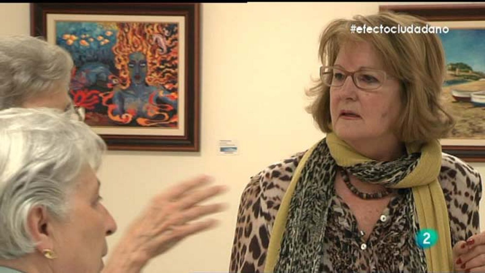 Efecto Ciudadano - Historia : Gabriela