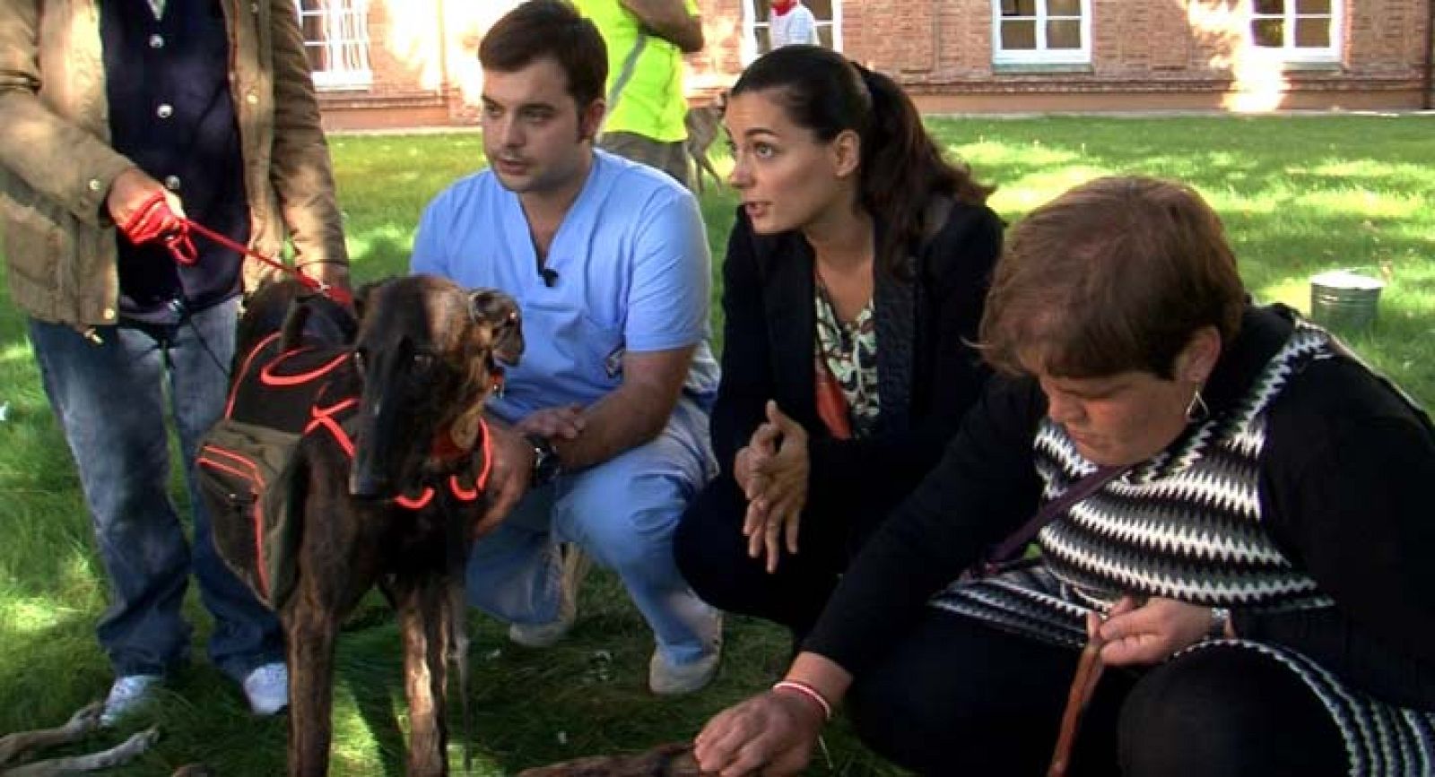 Comando actualidad - Uno de cada cuatro - Avance