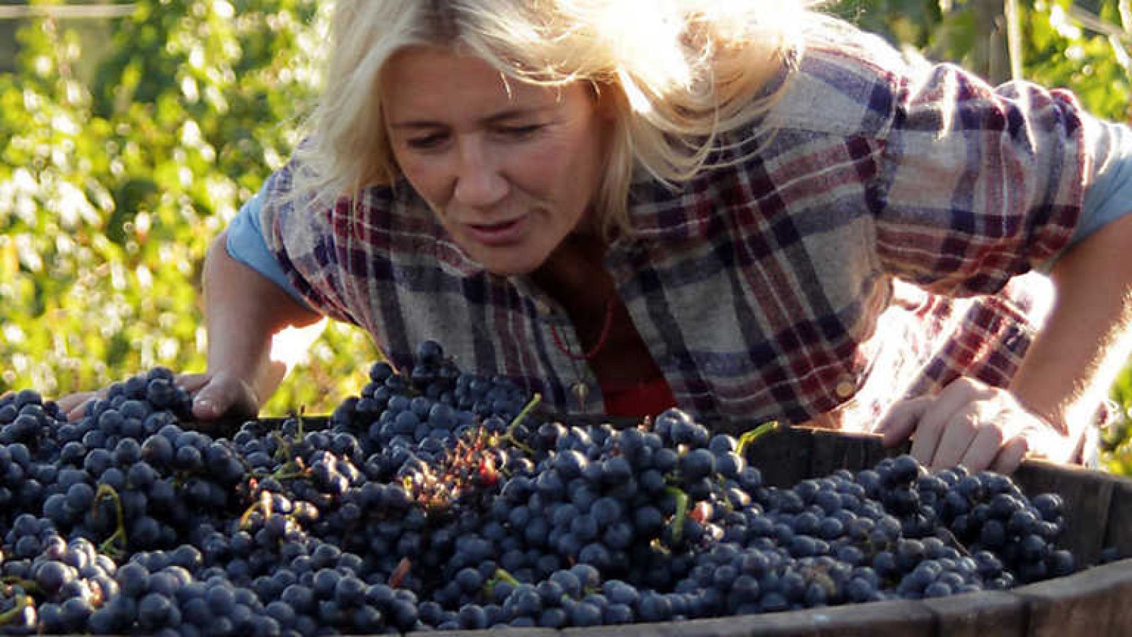 Un país para comérselo - El Bierzo, jardín del edén - ver ahora