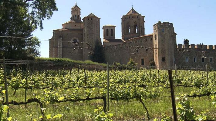 Entre vinyes - D.O. Conca de Barberà