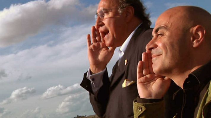 Sincronizados - Subastas