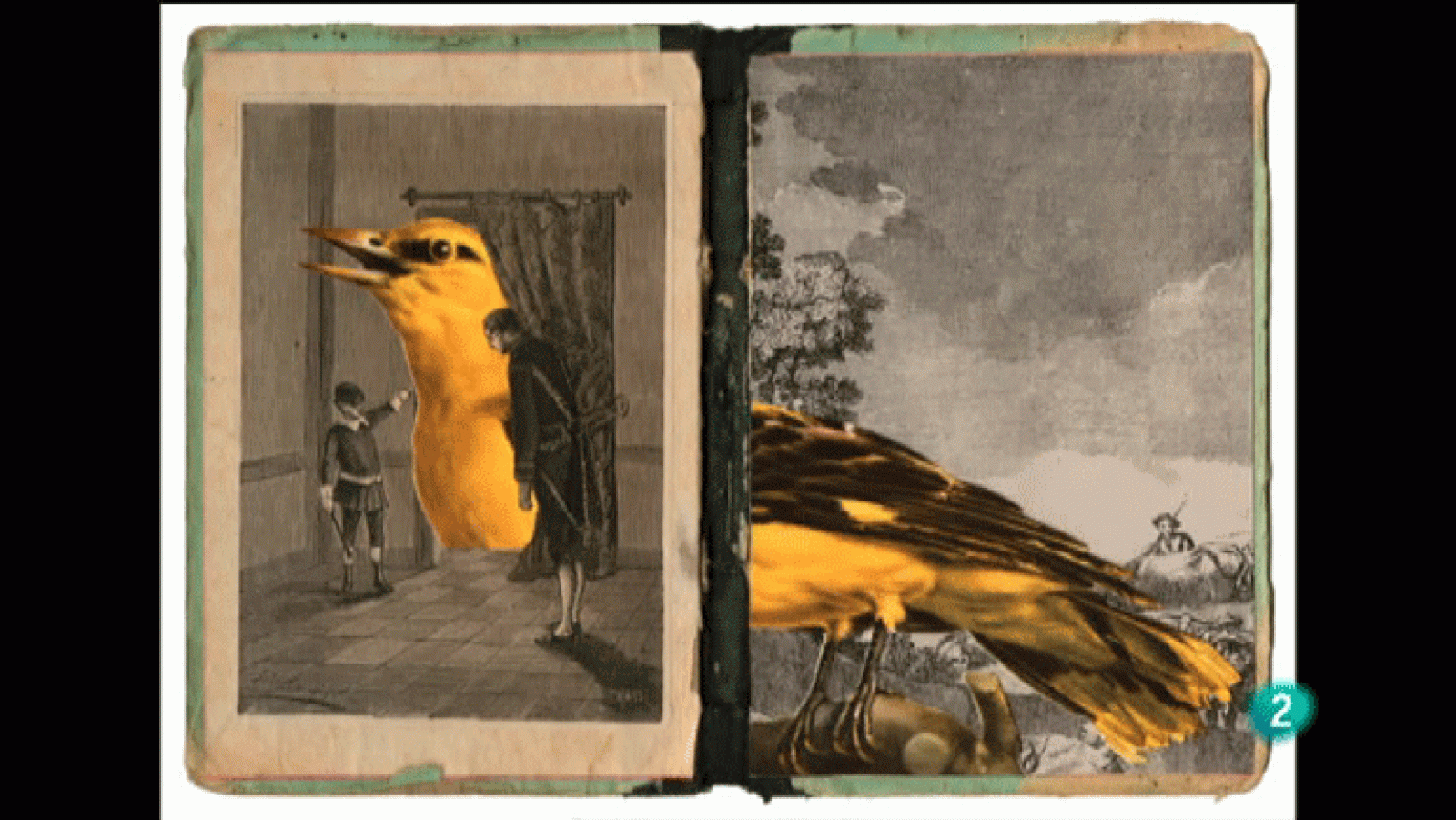 La Aventura del Saber. Boek Visual. Dani Sanchís